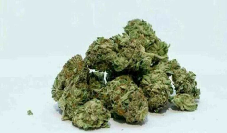 GRP and RPF seize marijuana worth Rs 8.95 lakh at Secunderabad station