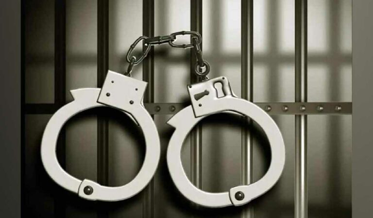 Two repeat offenders arrested for mobile phone thefts in Hyderabad