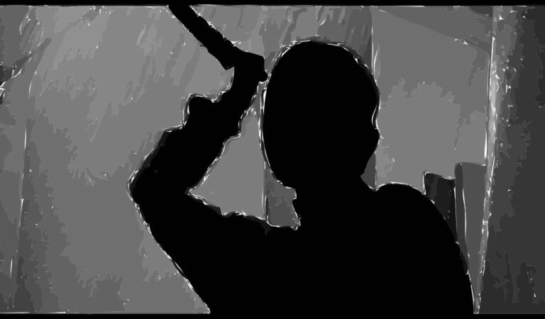 Man kills mother in law